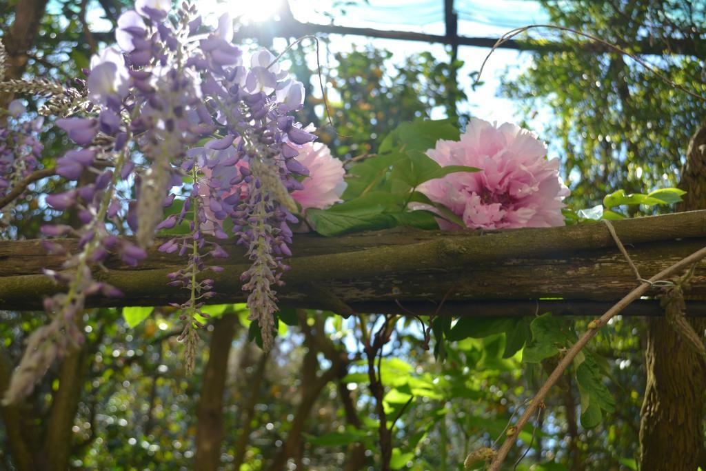 Sorrento Experience Bed & Breakfast ภายนอก รูปภาพ